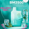 LOST MARY: Ice Mint - 画像 (3)